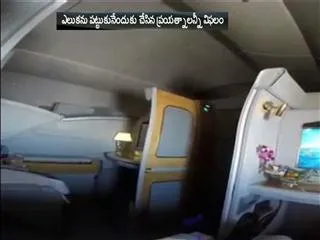 rat stops flight - Sakshi
