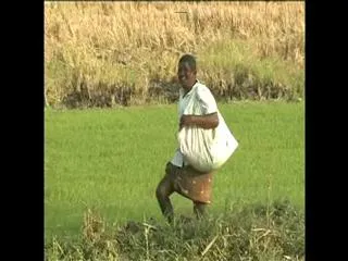 Imports are Less in Kharif - Sakshi