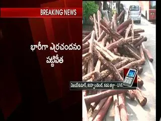 Two smugglers arrested, huge red scandals seized at Kadapa district - Sakshi