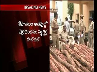 Redwood Labour attack on  forest  staff - Sakshi