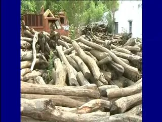 Police Caught Red Sandalwood Dump at Nellore district - Sakshi
