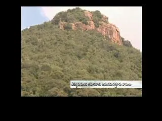 Police identified Seshachalam Encounter Dead Bodies - Sakshi