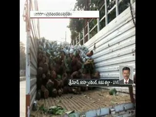 Red sandalwood worth Rs 3 crore seized in Kadapa district - Sakshi