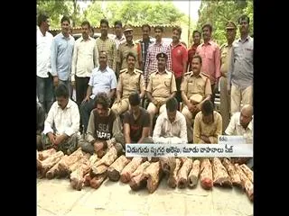 seven-arrested-for-red-sandalwood-smuggling - Sakshi