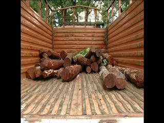 50 lakhs red sandal missing in srikalahasti godown - Sakshi