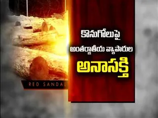 Lukewarm response for red sanders auction - Sakshi