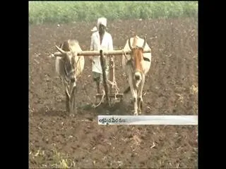 The scale of Finance to loan waiver scheme for farmers - Sakshi