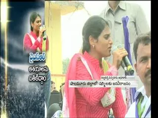 Sharmila speech in Amrabad Paramarsha Yatra - Sakshi