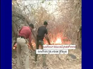 Operation Seshachalam continues on 2nd day - Sakshi