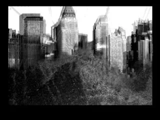 Sakshi Shopping Plus 25thJuly 2015 - Sakshi