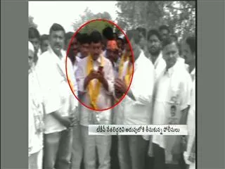 Big Fishes behind Red Sandalwood Smuggling - Sakshi