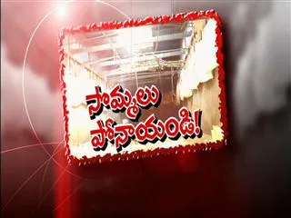 Special Edition on  Illegal Cattle Tranportation - Sakshi