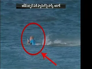 Surfer Mick Fanning Battles Shark Attack at J-Bay Open: 'I'm Just Tripping' - Sakshi