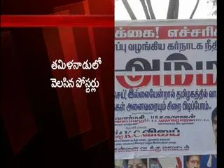 aiadmk-cadre-threatens-kannada-people-in-tamilnadu - Sakshi