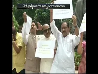 TDP MPs Protest At Parliament Demanding Special Status - Sakshi