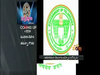 Government decide telangana formation celebrations officially - Sakshi