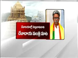 Minister Manikyala Rao Discontent on Chandrababu - Sakshi