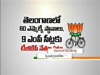 Yet to confirm on bjp tdp tie up - Sakshi