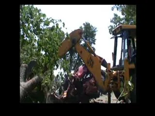 One dies after tree falls on car in Chevella - Sakshi