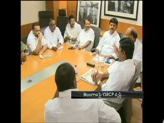 telangana ysrcp districts review meeting starts - Sakshi