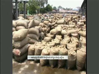 Unseasonal rains damage the crops - Sakshi