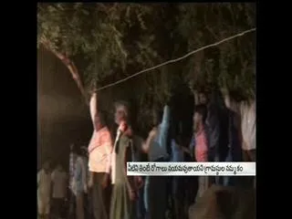 How neem tree leaves are sweet? - Sakshi