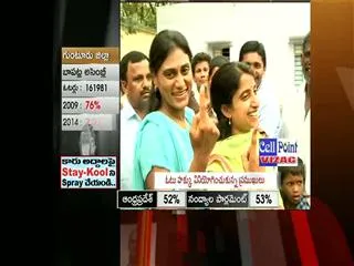 VIP's casts their votes in Seemandhra - Sakshi