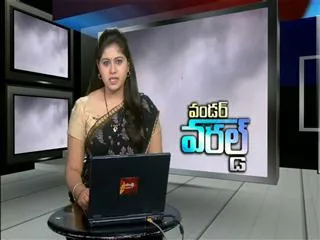 wonder world 9th nov 2014 - Sakshi