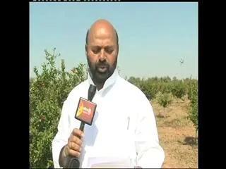 VIP Reporter - Janagam MLA Muthireddy Yadagiri Reddy - Sakshi