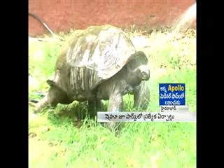 Coolers for animals at Nehru zoo this summer - Sakshi