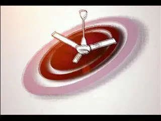 Avakaya Biryani 28th August2015 - Sakshi