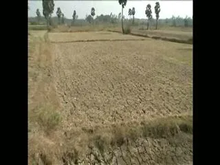 Kharif Crop problems in AP - Sakshi