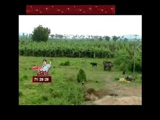 National Green Tribunal Wrath on the AP government - Sakshi