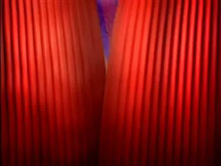 Avakaya Biryani 287th October 2015 - Sakshi