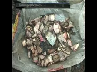Sacks Of Cash Burnt In Fire At A Beggar's House Near Mumbai - Sakshi
