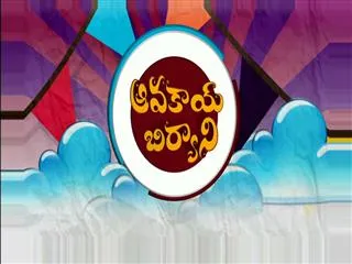 Avakaya Biryani 13th November 2015 - Sakshi