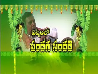 Pongal festival Celebration in Cities Sakshi Special Edition - Sakshi