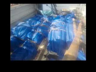 Four Maoists killed in encounter with police in Chhattisgarh - Sakshi