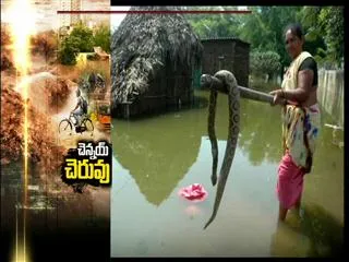 Heavy rain batters Tamil Nadu, breaks chennai 100-year-old record - Sakshi