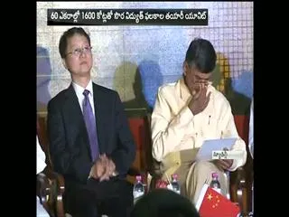 By next year double-digit growth - Sakshi