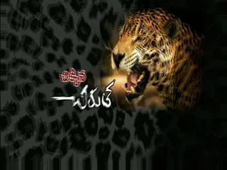 Leopard creats terror in medak district - Sakshi