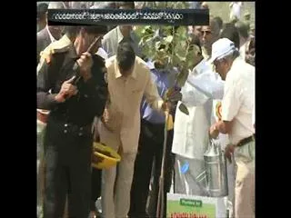 Ap Cm Chandrababu Attends Ananthavaram Van Mahotsav - Sakshi