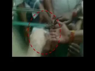 5-year-old child's head gets stuck in pressure - Sakshi