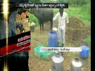 Decomposition Biryani was Fodder for animals - Sakshi