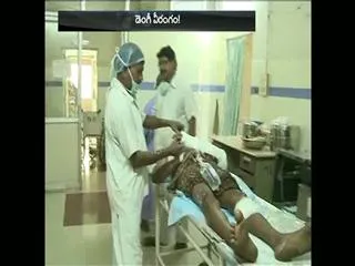 Dengue fever spreads all over state - Sakshi