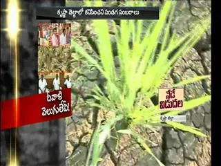 Krishna Delta people not celebration diwali - Sakshi