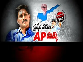 4th day deeksh: doctors conducted medical tests to ys jagan mohan reddy - Sakshi