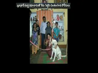 Dog Killed by Youth || Police filed Case On Anwar in Secunderabad - Sakshi