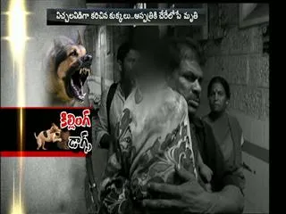 baby dies of stray dogs bites in visakhapatnam - Sakshi