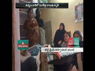 Three-year-old boy killed in dog attack - Sakshi